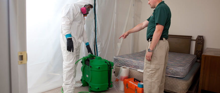 La Verne, CA mold removal process